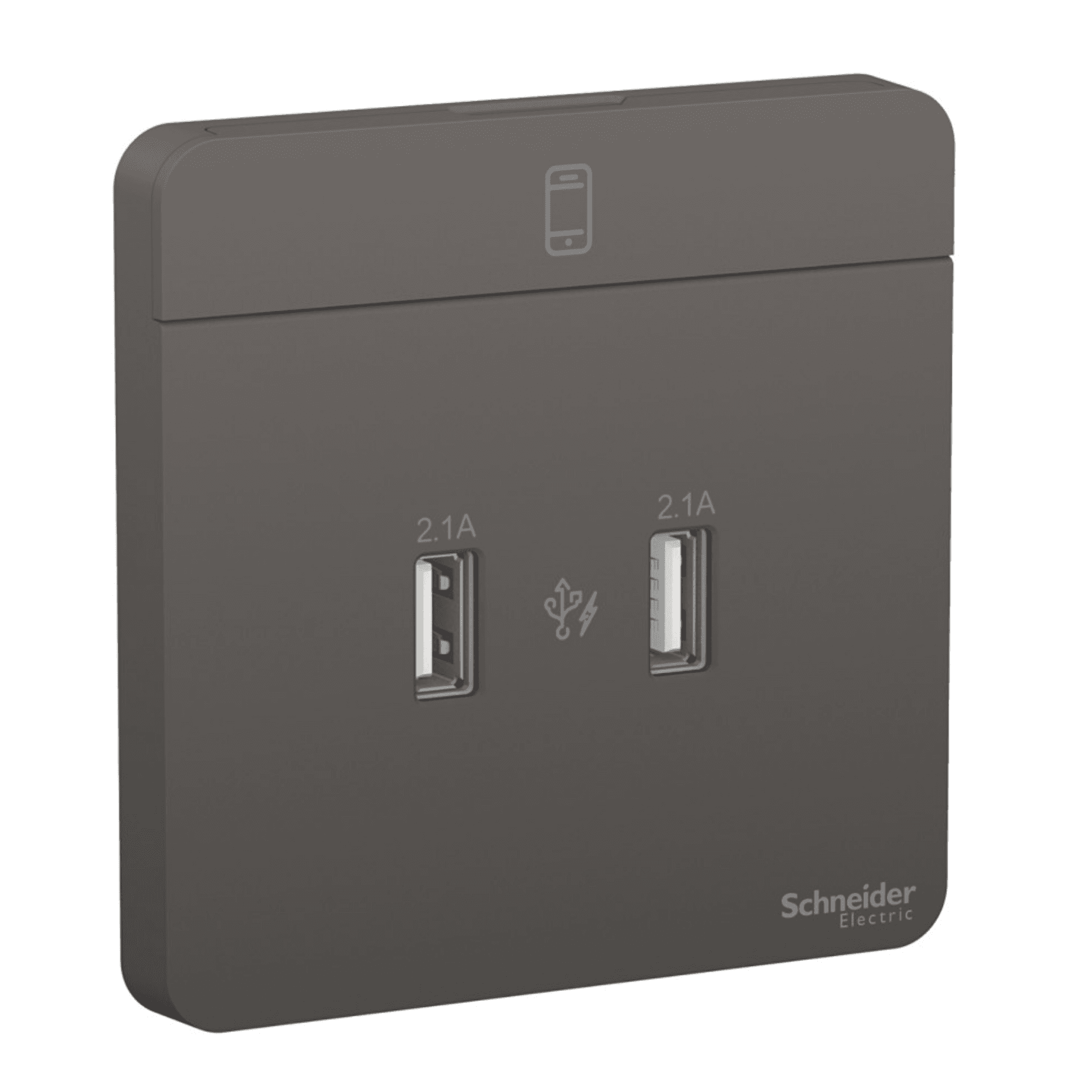 Schneider 施耐德 E8332USB_DG_C5 兩位2.1A USB充電插座