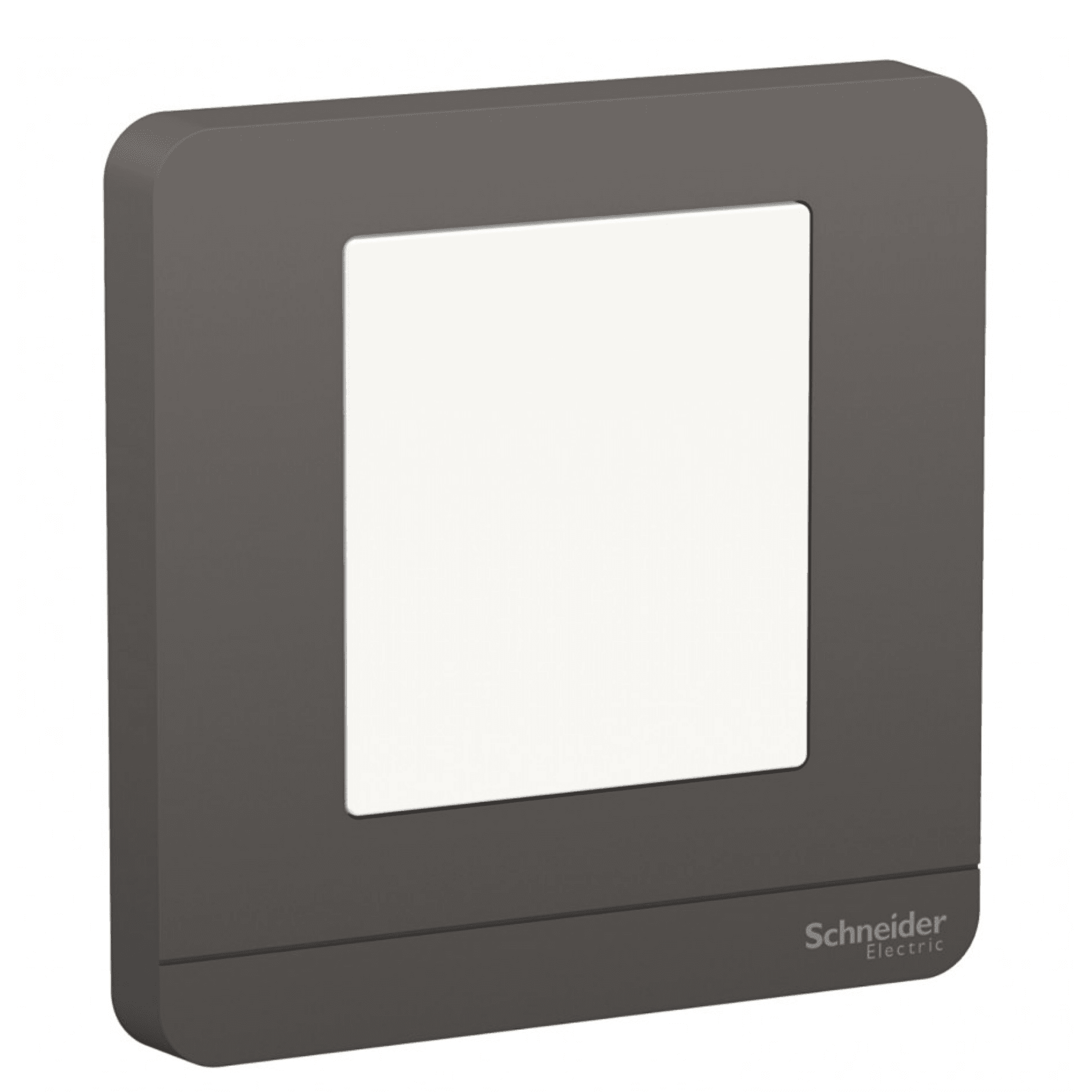 Schneider 施耐德 E8390FLW_DG_C5 LED 地腳夜燈